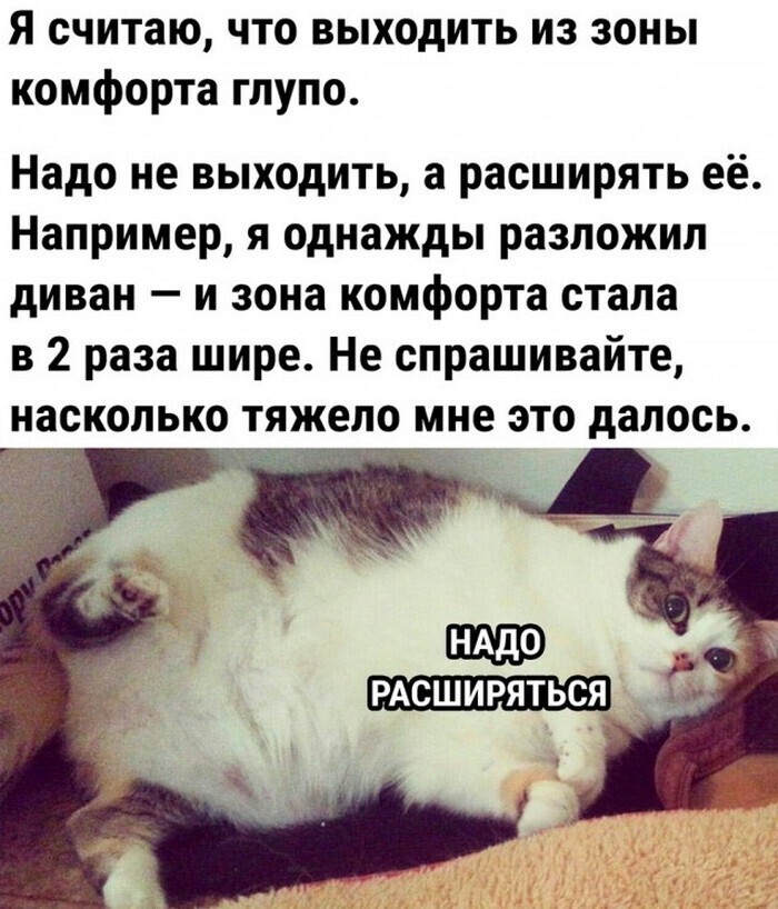 Всё вразнобой