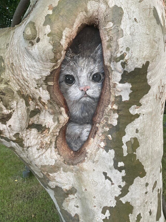 Кто-то нарисовал очень реалистичного котика в дереве