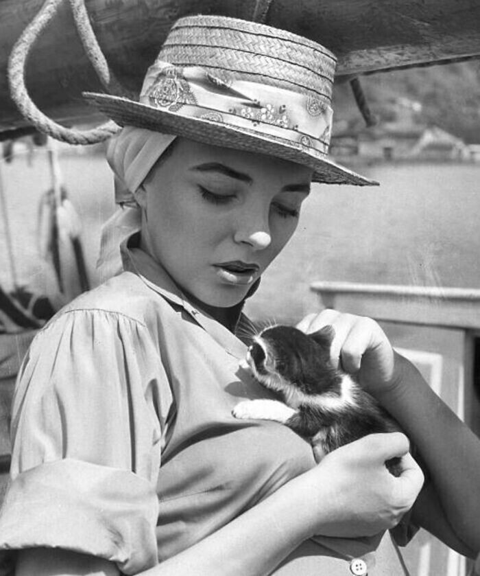 Актриса Джоан Коллинз с котенком. 1957 год