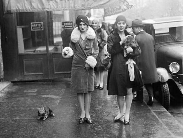 Дамы с кошками в Европе, 1929 год