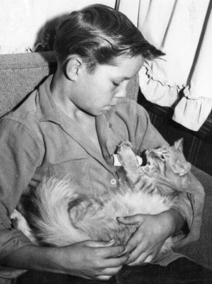 Мальчик с кошкой. Фото 1956 года