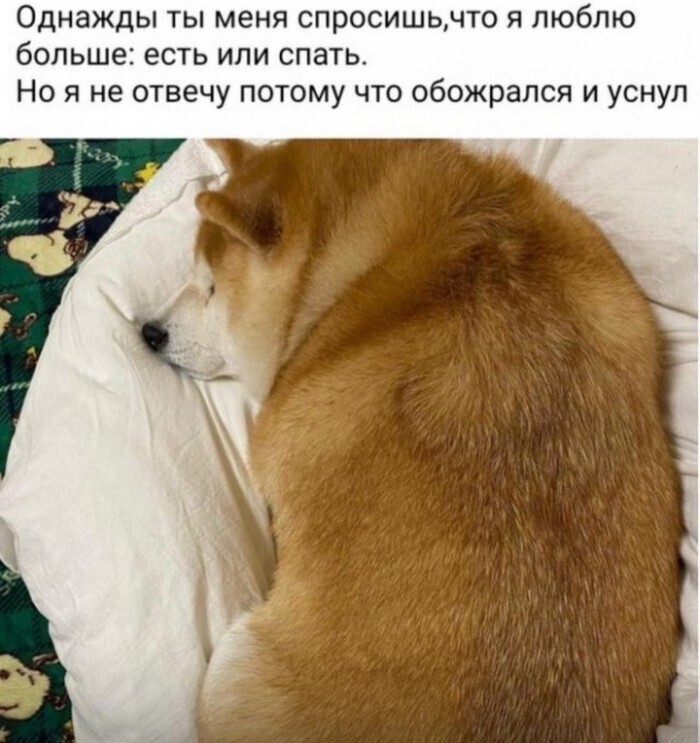 Всё вразнобой