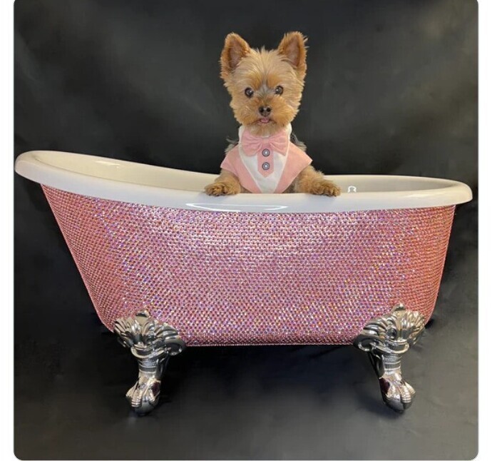 Бриллиантовая ванна для собаки, $12 000