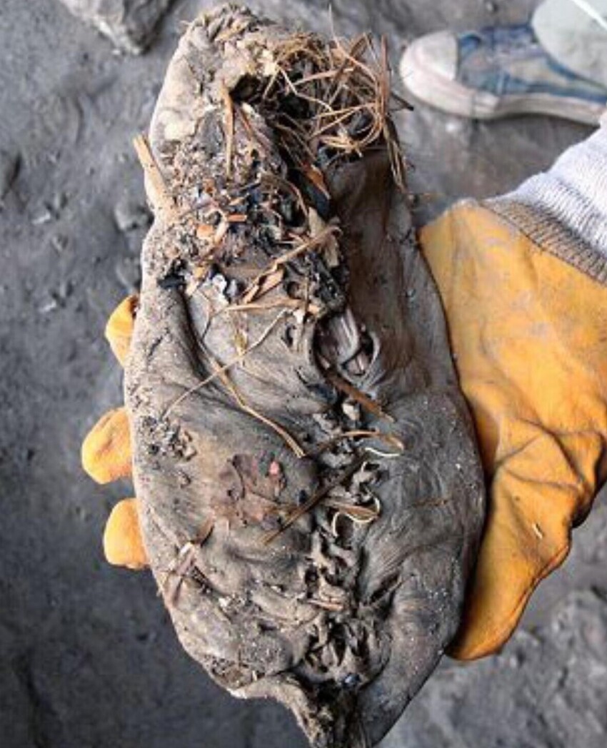 В пещере в Армении найдены кожаные кроссовки на шнуровке 5000-летней давности