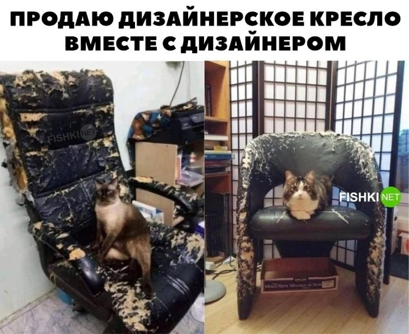 Дизайнерское кресло