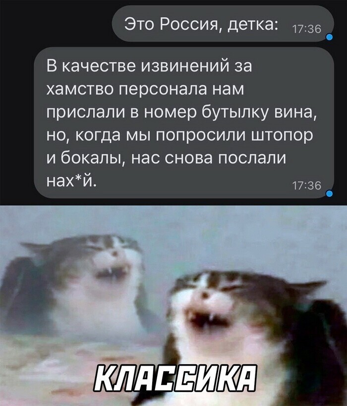 Скрины из соцсетей