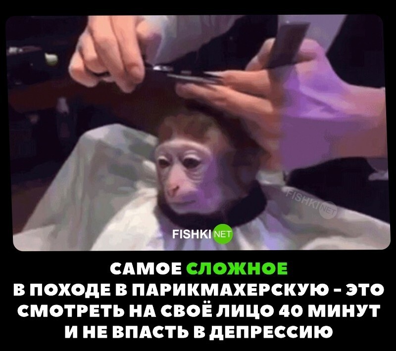 Очень жизненно 