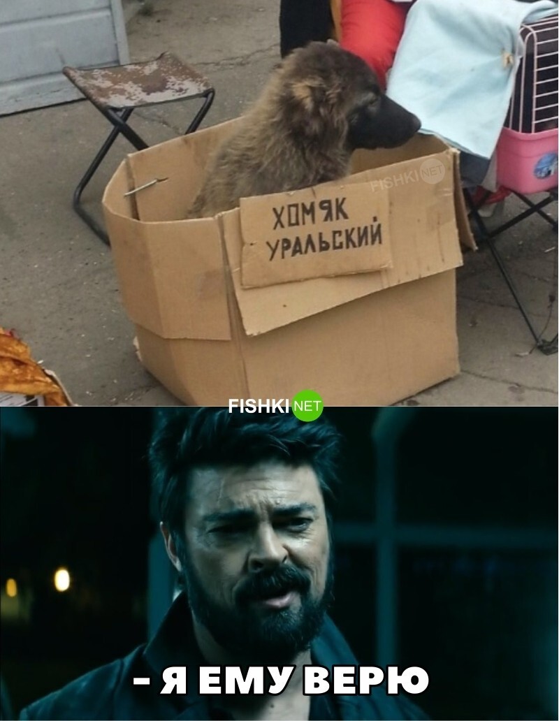 Похож 