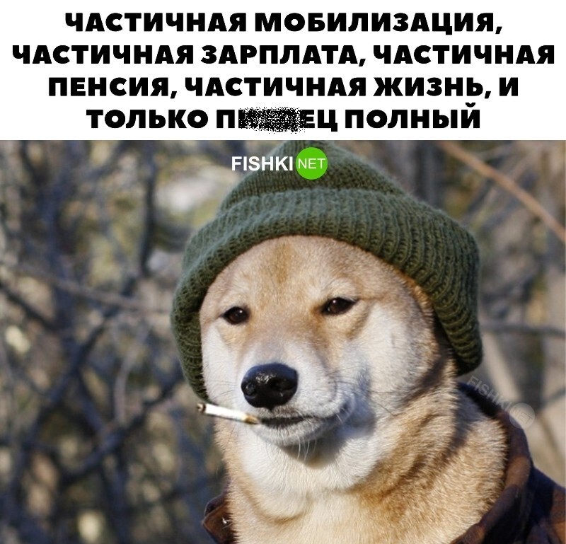 Частично мем
