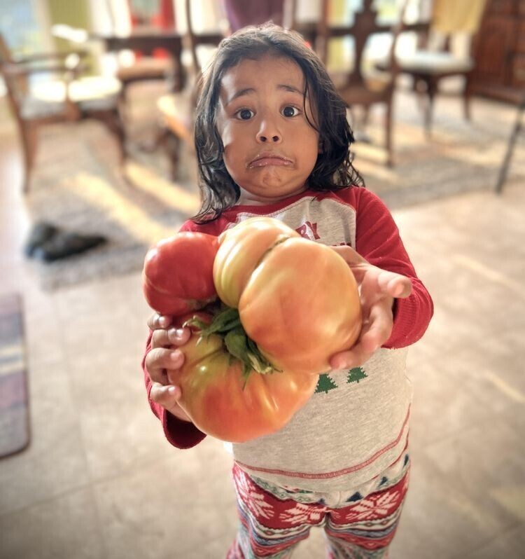 «Моя дочь хвастается большим помидором из нашего собственного огорода»