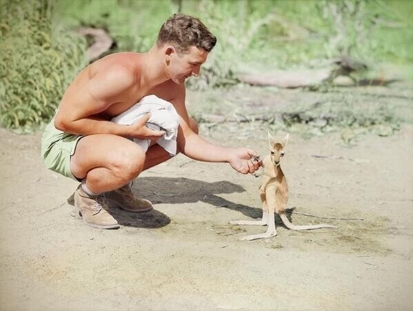 19. Американский солдат на базе союзников с ручным кенгуру, 1942 год