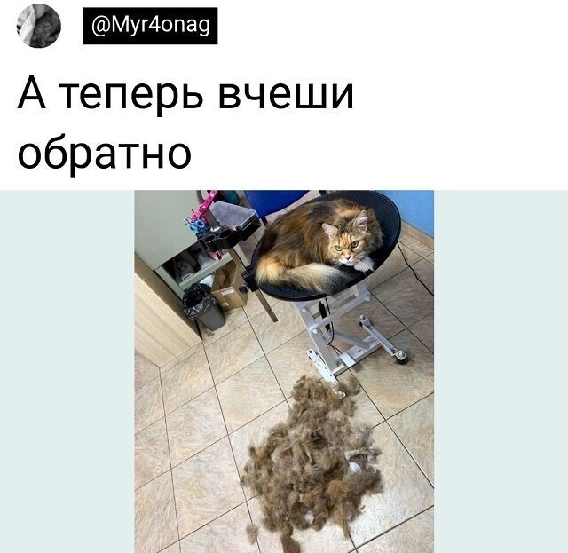 Скрины из соцсетей