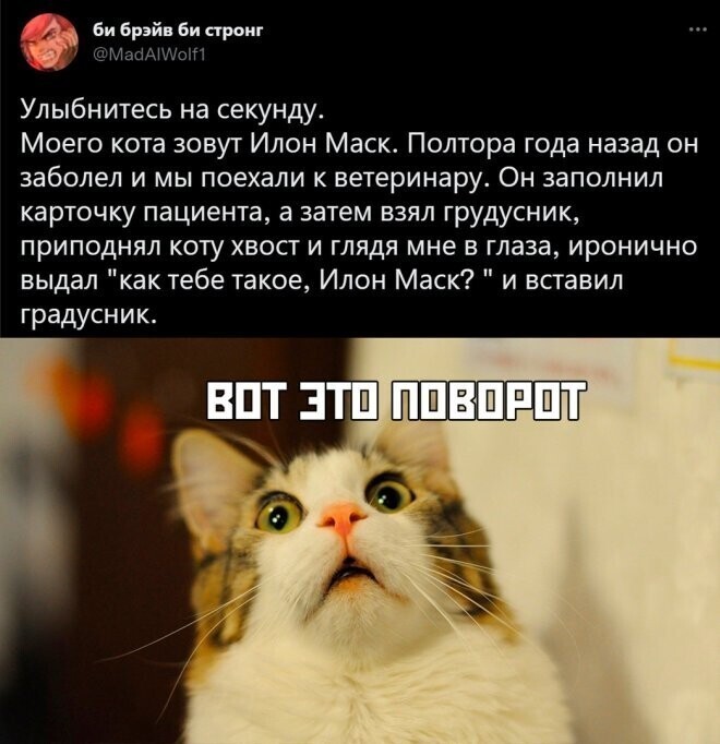 Скрины из соцсетей