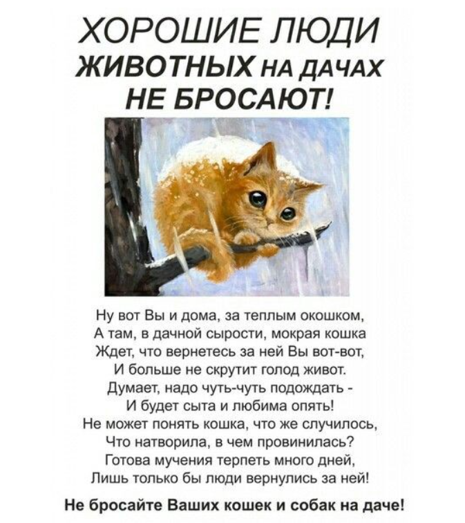 Немного юмора под вечер!