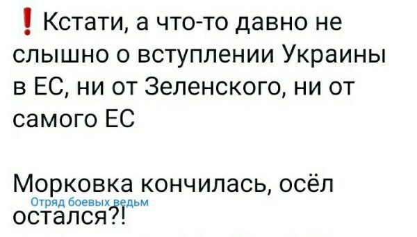 О политике и не только