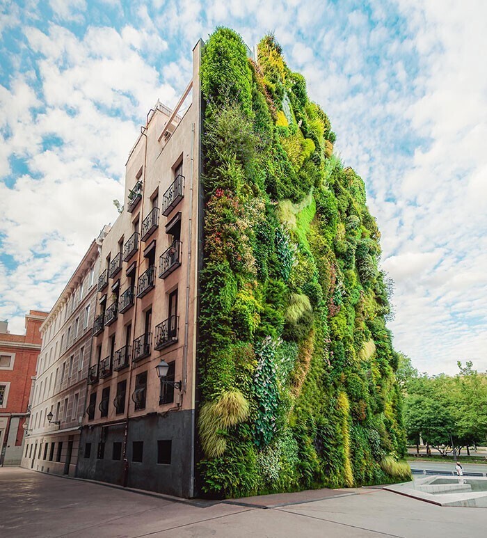 Вертикальный сад в Мадриде, Испания