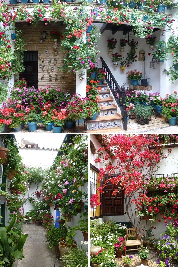 В испанском городе Кордоба ежегодно проходит фестиваль внутренних двориков, балконов и террас