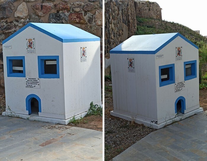 Местный муниципалитет в Картахене, Испания, построил дом для кошек