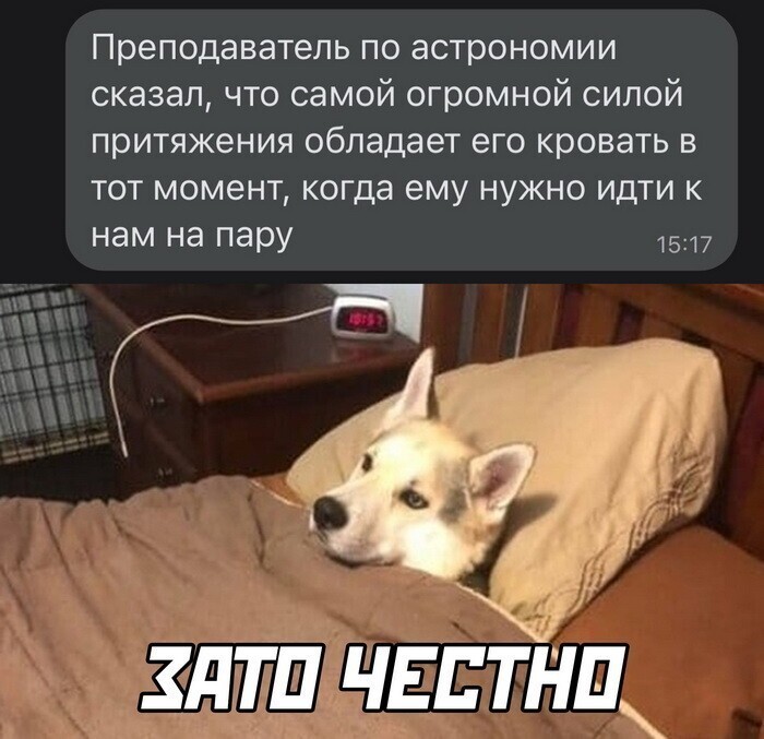 Скрины из соцсетей