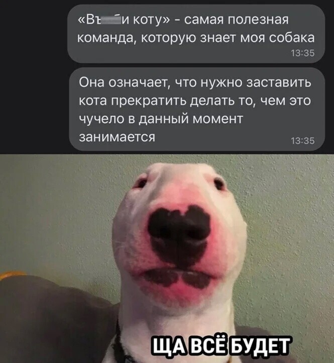 Скрины из соцсетей