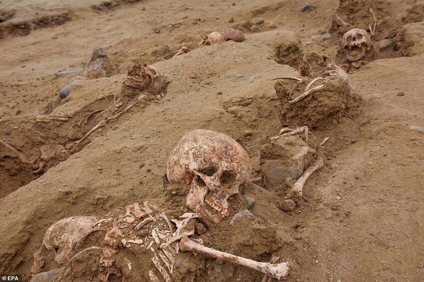 В Перу нашли скелеты 76 детей, которых принесли в жертву сотни лет назад