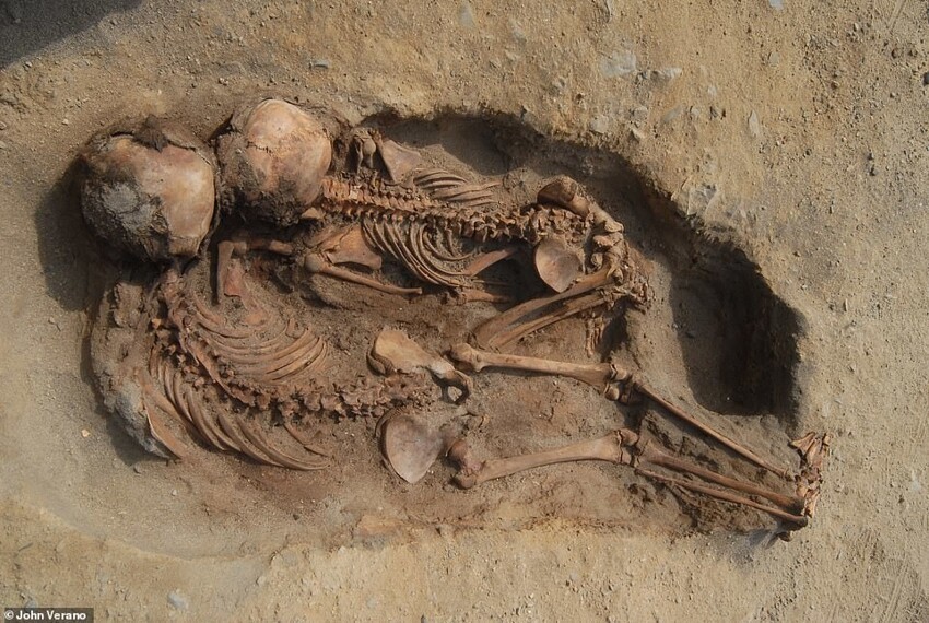 В Перу нашли скелеты 76 детей, которых принесли в жертву сотни лет назад