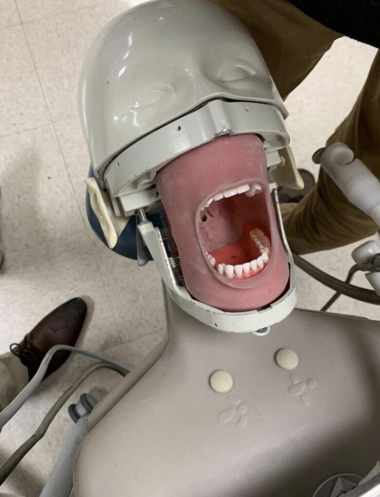 Тренажер для тренировки стоматологов
