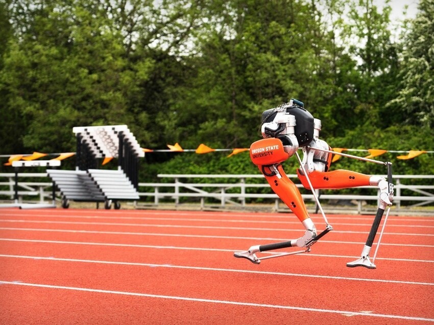 Беги, Кэсси, беги: как робот-страус обогнал андроидов на 100-метровке