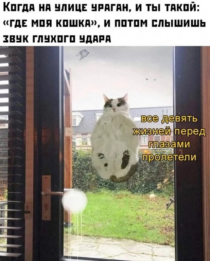 На общую тему