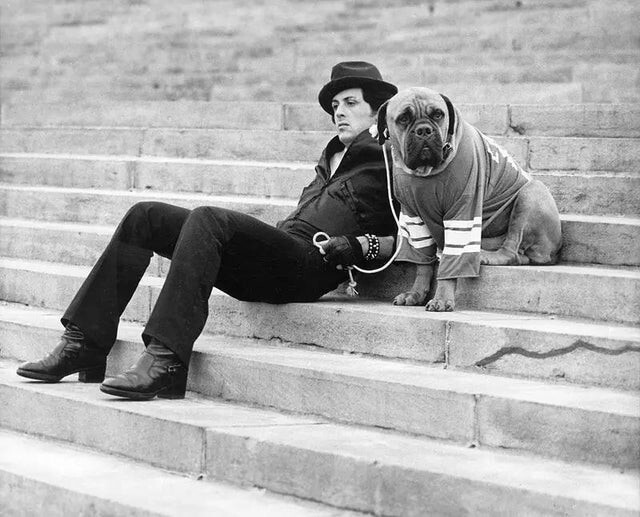 В начале карьеры у Сильвестра Сталлоне было так мало денег, что он был вынужден продать свою собаку Буткуса за 40 долларов. Когда он решил снять "Рокки", то выкупил собаку за 15 тысяч долларов и дал питомцу роль в фильме
