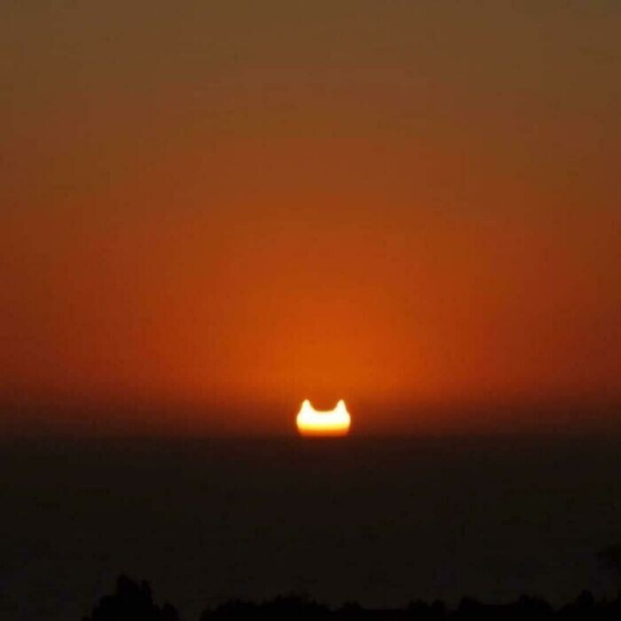 Солнечное затмение на закате напоминало голову гигантской кошки