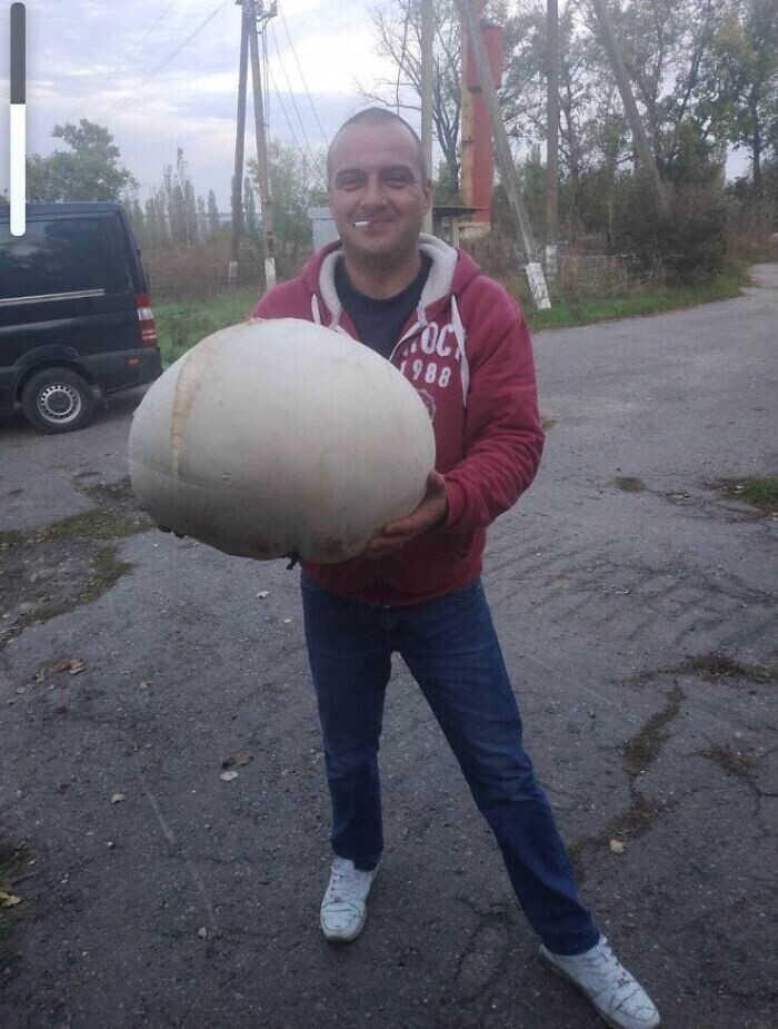 "Мой дядя нашел огромный гриб-дождевик"