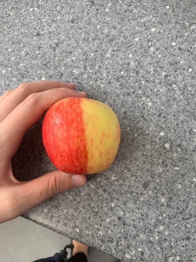 Яблоко разделено на две разноцветные части