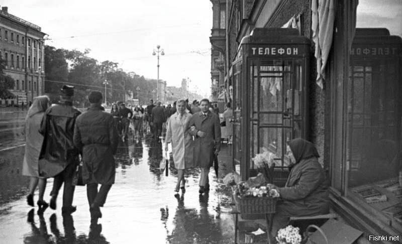 Фотографии всеволода тарасевича