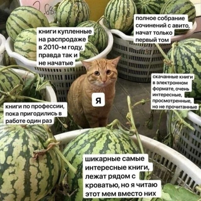 Субботний утренний улыбальник