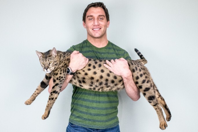 Кот из Мичигана официально признан самым высоким в мире