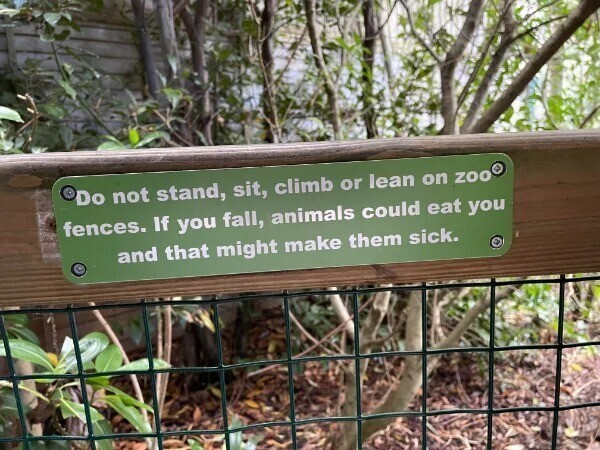 19. "Не вставайте на ограждения в зоопарке, не взбирайтесь по ним, не сидите и не облокачивайтесь. Если вы упадёте в вольер, животные могут вас съесть и заболеть от этого"