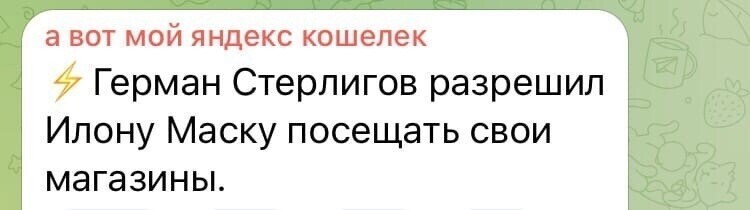 О политике и не только