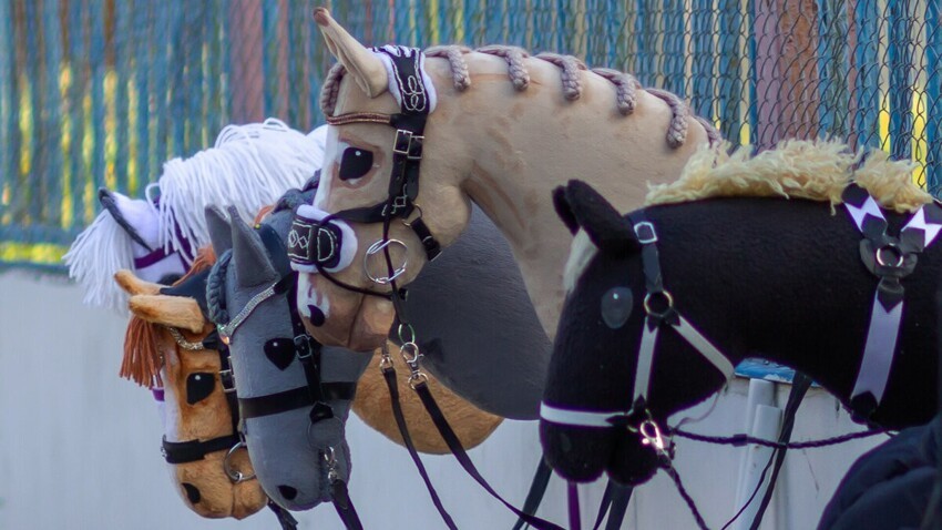 Хоббихорсинг: как скачки на игрушечных лошадях стали настоящим спортом
