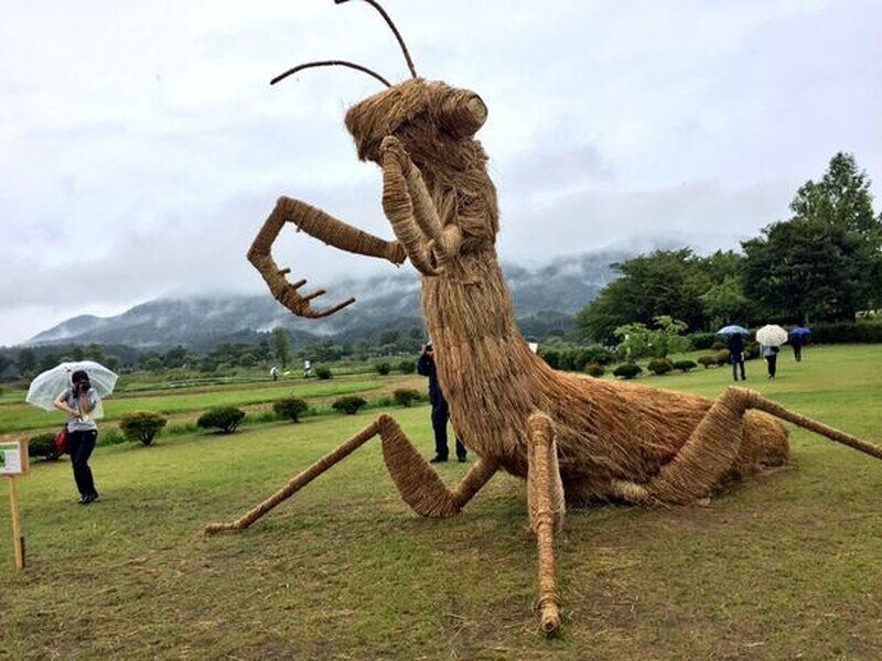 На японских полях вновь появились гигантские звери из соломы