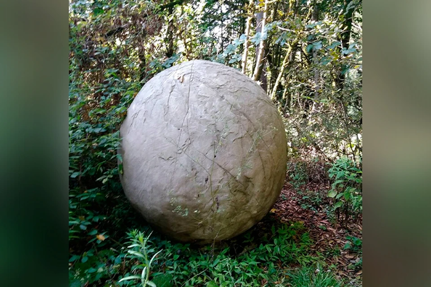 "Что это такое?": в Сочи нашли необычный шар посреди леса
