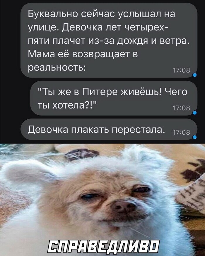 Скрины из соцсетей