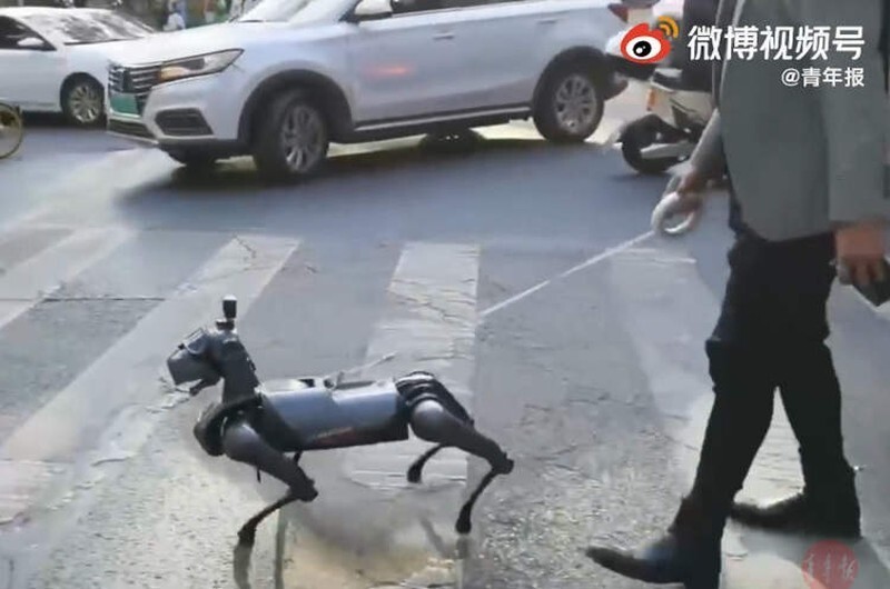 Тренд: китайцы массово выводят на прогулку своих робопсов