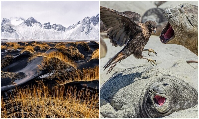 20+ фото, доказывающих, как важно беречь нашу красивую природу