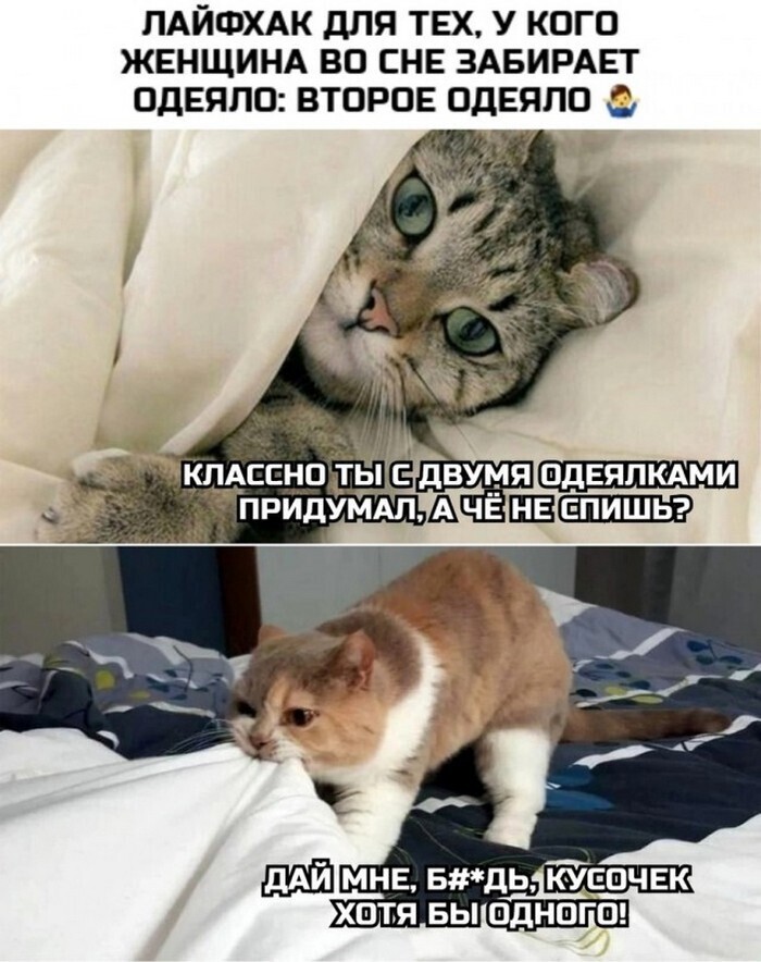 На общую тему