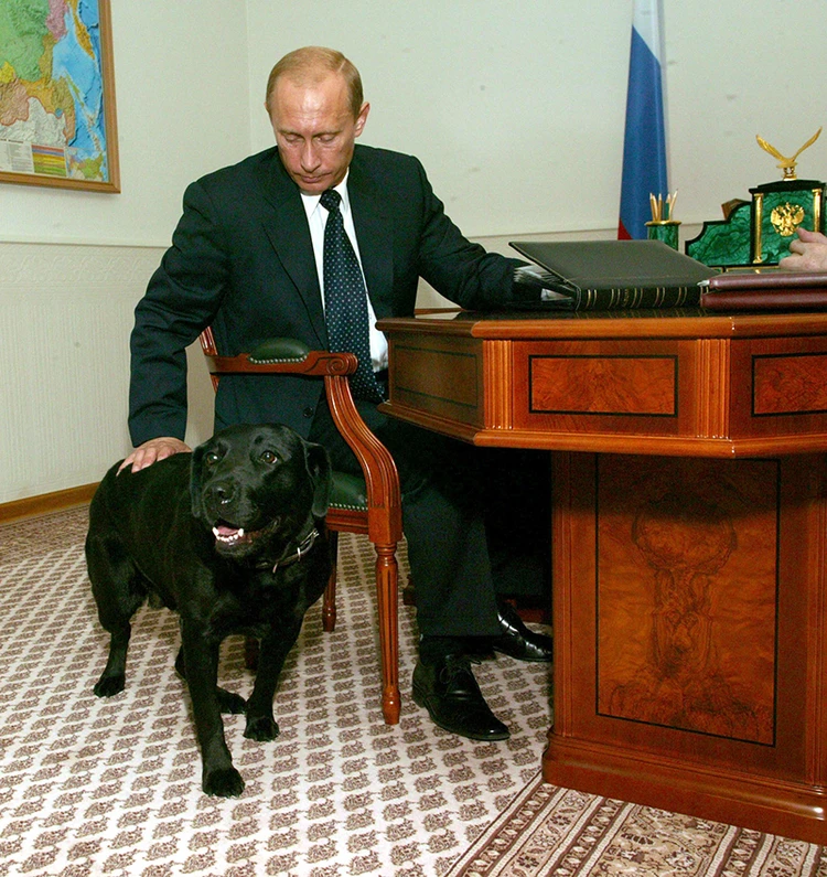 Фото путина с собакой