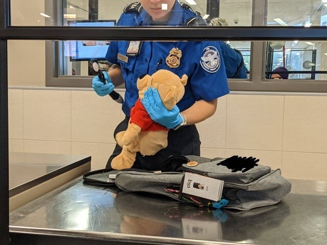 Досмотр медведя в аэропорту 