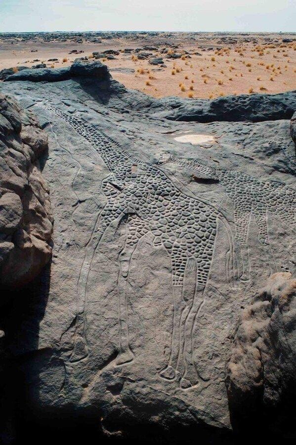 В Эйр-Масифе, Нигер, находятся два самых больших петроглифа животных в мире, называемые "Жирафы Дабу", датированные 8000 годом до нашей эры