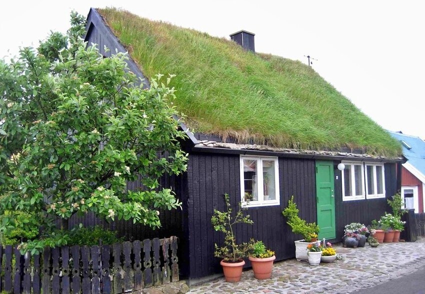 Почему на крышах домов в Скандинавии растет трава?