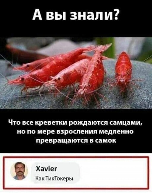 Смешные и познавательные картинки